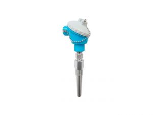 Endress Hauser Modular TH13 RTD Thermometer in Threaded Thermowell