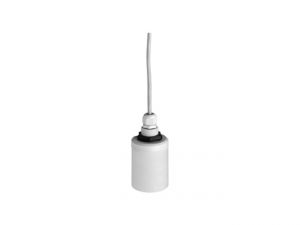 Endress Hauser Prosonic FDU91 Ultrasonic Level Sensor